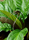 %_tempFileName03-20050904-0112%