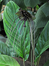 %_tempFileName05-20080506-0219%