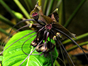 %_tempFileName06-20090725-0613%