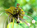 %_tempFileName07-20110505-0513%