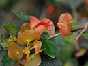%_tempFileName02-20080127-0281%