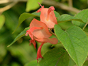%_tempFileName03-20121223-0164%
