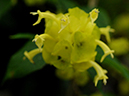 %_tempFileName06-20081124-0177%