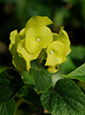 %_tempFileName07-20081214-0262%