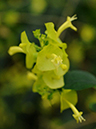 %_tempFileName08-20091122-0328%