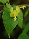 %_tempFileName10-20101219-0221%