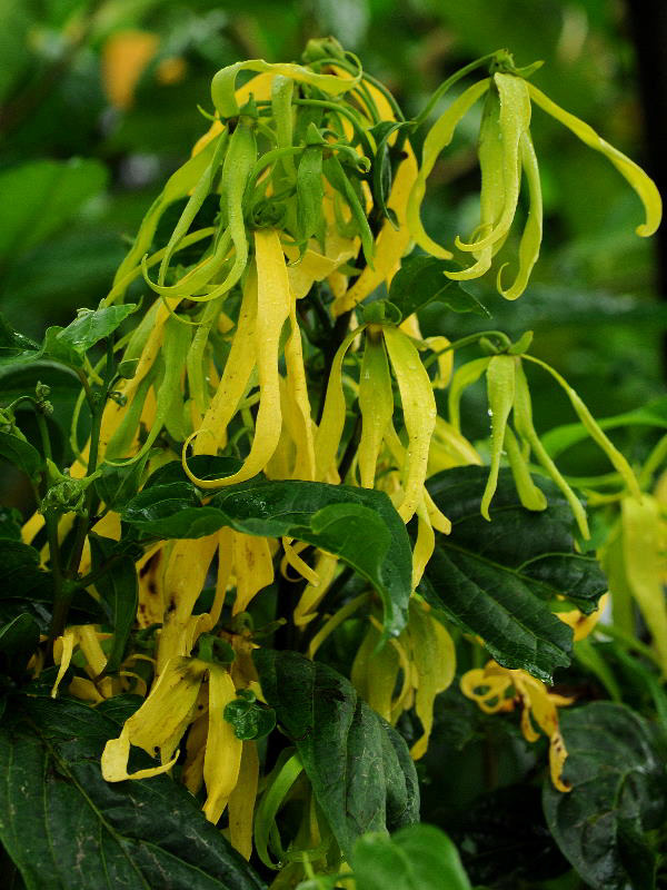 %_tempFileName07-20100704-0217%