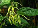 %_tempFileName02-20090506-0180%