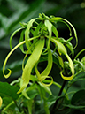 %_tempFileName03-20100627-0111%