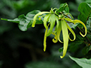 %_tempFileName04-20100627-0112%