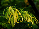 %_tempFileName05-20100704-0215%