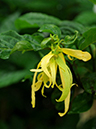 %_tempFileName06-20100704-0216%