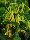 %_tempFileName07-20100704-0217%