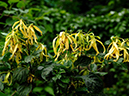 %_tempFileName08-20100711-0157%