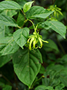 %_tempFileName09-20100928-0230%