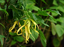 %_tempFileName10-20110730-0461%