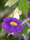 %_tempFileName01-20080105-0109%