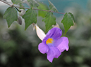 %_tempFileName02-20080105-0110%