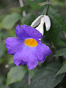 %_tempFileName03-20080308-0221%