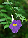 %_tempFileName04-20081124-0210%