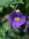 %_tempFileName05-20081124-0212%