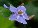%_tempFileName08-20070225-0459%