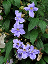 %_tempFileName10-20100306-0143%