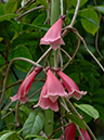 %_tempFileName01-20070225-0507%