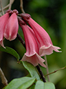 %_tempFileName02-20070225-0509%