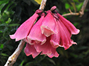 %_tempFileName03-20080209-0248%