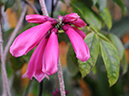 %_tempFileName04-20080320-0203%