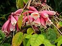 %_tempFileName05-20120304-0359%