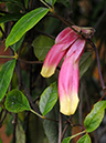 %_tempFileName07-20080320-0217%