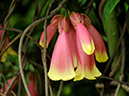 %_tempFileName09-20100306-0239%