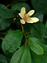 %_tempFileName02-20060218-0586%