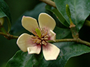 %_tempFileName06-20070225-0552%