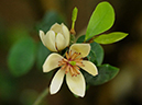 %_tempFileName10-20110409-0303%