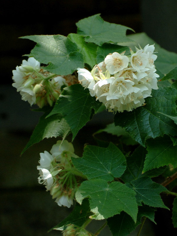 %_tempFileName07-20060304-0333%