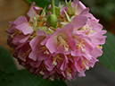 %_tempFileName03-20060108-0205%