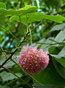 %_tempFileName04-20060108-0206%