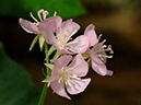 %_tempFileName05-20070218-0466%