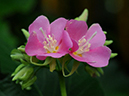 %_tempFileName09-20100111-0159%