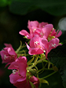 %_tempFileName10-20110219-0159%