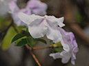 %_tempFileName03-20080330-0231%