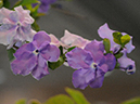 %_tempFileName04-20080330-0232%