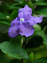 %_tempFileName06-20100322-0508%
