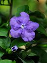 %_tempFileName07-20100322-0509%
