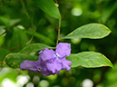 %_tempFileName10-20120506-0147%