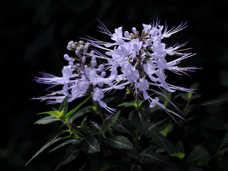 %_tempFileName03-20080119-0223%