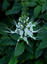 %_tempFileName01-20070203-0353%